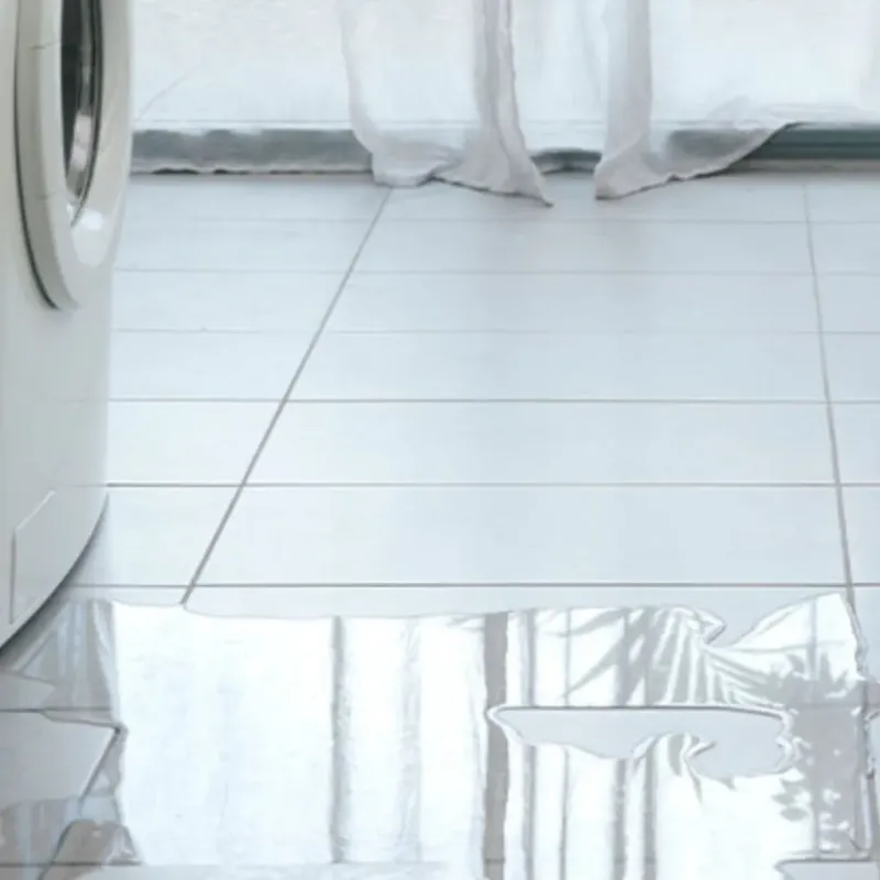 Appliance Leak Cleanup in Fremont, NC