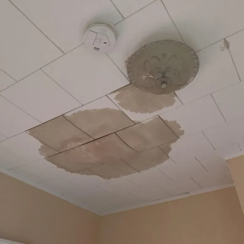 Ceiling Water Damage Repair in Fremont, NC