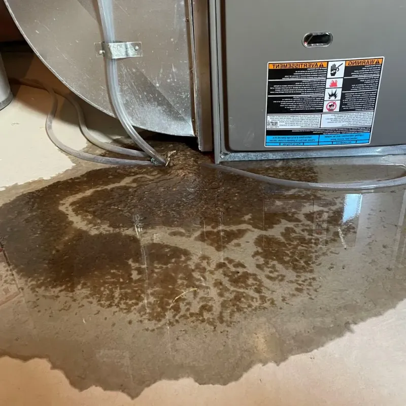 Pipe Burst and Leak Restoration in Fremont, NC
