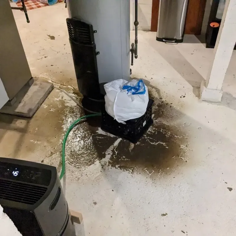 Sewage Backup Cleanup Service in Fremont, NC